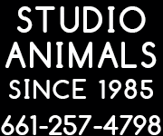 STUDIO ANIMAL SERVICES