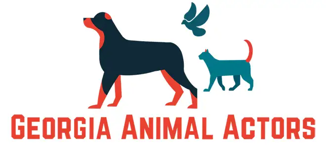 Georgia Animal Actors Persents Merlin