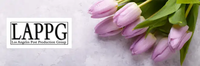 LAPPG AT THE ZEISS CINEMA SHOWROOM