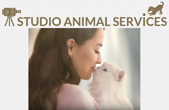 Studio Animal Services Stars in Latest Fancy Feast Commercial