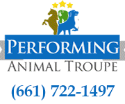 PERFORMING ANIMAL TROUPE