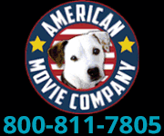 American Movie